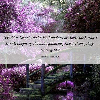 Picture 06 - Nehemias 12:23 DA1871 - Levi Børn, Øversterne for Fædrenehusene, bleve - Bible Verse Picture