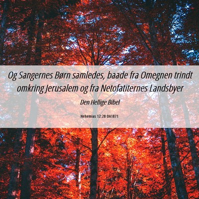 Picture 06 - Nehemias 12:28 DA1871 - Og Sangernes Børn samledes, baade fra Omegnen - Bible Verse Picture