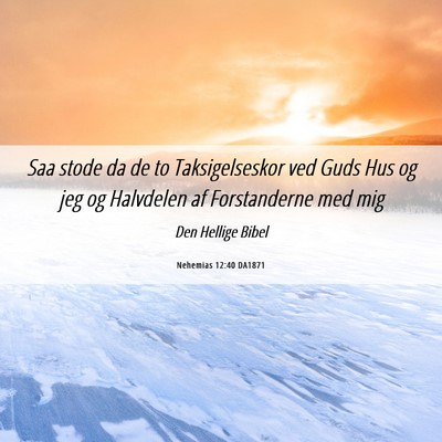 Picture 06 - Nehemias 12:40 DA1871 - Saa stode da de to Taksigelseskor ved Guds Hus og - Bible Verse Picture