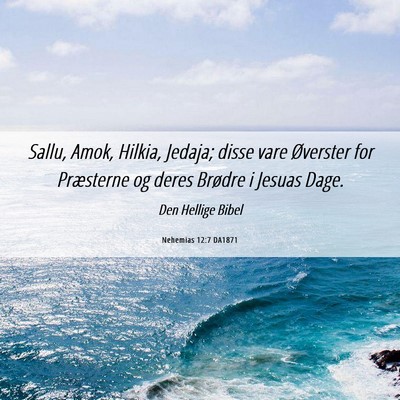 Picture 06 - Nehemias 12:7 DA1871 - Sallu, Amok, Hilkia, Jedaja; disse vare Øverster - Bible Verse Picture
