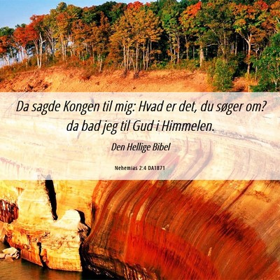 Picture 06 - Nehemias 2:4 DA1871 - Da sagde Kongen til mig: Hvad er det, du søger - Bible Verse Picture