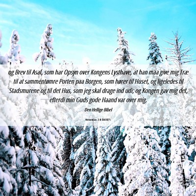 Picture 06 - Nehemias 2:8 DA1871 - og Brev til Asaf, som har Opsyn over Kongens - Bible Verse Picture