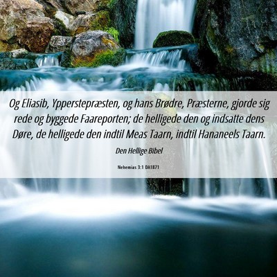 Picture 06 - Nehemias 3:1 DA1871 - Og Eliasib, Ypperstepræsten, og hans Brødre, - Bible Verse Picture
