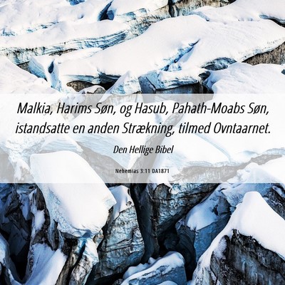 Picture 06 - Nehemias 3:11 DA1871 - Malkia, Harims Søn, og Hasub, Pahath-Moabs Søn, - Bible Verse Picture