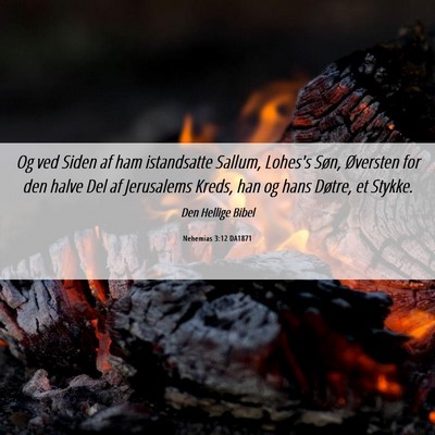 Picture 06 - Nehemias 3:12 DA1871 - Og ved Siden af ham istandsatte Sallum, Lohes's - Bible Verse Picture