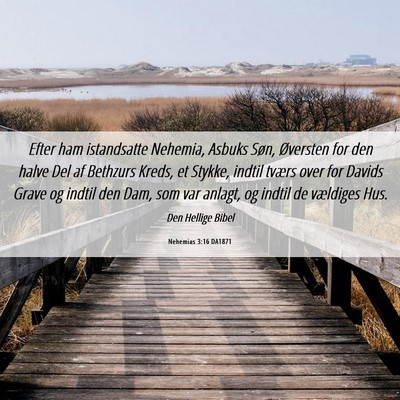 Picture 06 - Nehemias 3:16 DA1871 - Efter ham istandsatte Nehemia, Asbuks Søn, - Bible Verse Picture