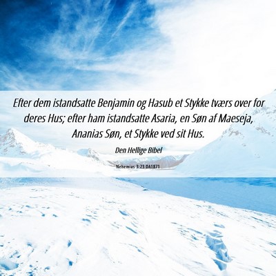 Picture 06 - Nehemias 3:23 DA1871 - Efter dem istandsatte Benjamin og Hasub et Stykke - Bible Verse Picture