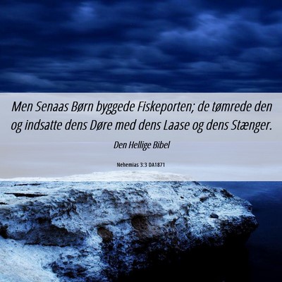 Picture 06 - Nehemias 3:3 DA1871 - Men Senaas Børn byggede Fiskeporten; de tømrede - Bible Verse Picture