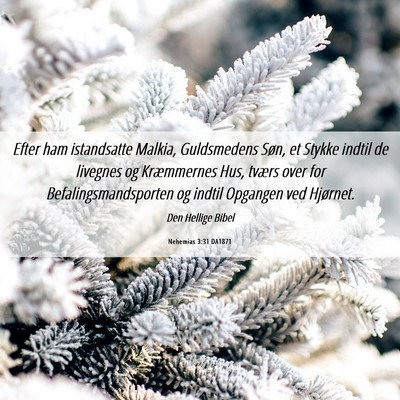 Picture 06 - Nehemias 3:31 DA1871 - Efter ham istandsatte Malkia, Guldsmedens Søn, - Bible Verse Picture
