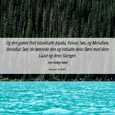 Picture 06 - Nehemias 3:6 DA1871 - Og den gamle Port istandsatte Jojada, Paseas - Bible Verse Picture