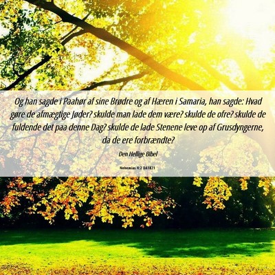 Picture 06 - Nehemias 4:2 DA1871 - Og han sagde i Paahør af sine Brødre og af - Bible Verse Picture