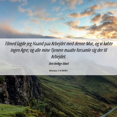 Picture 06 - Nehemias 5:16 DA1871 - Tilmed lagde jeg Haand paa Arbejdet med denne - Bible Verse Picture