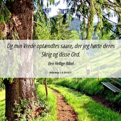 Picture 06 - Nehemias 5:6 DA1871 - Og min Vrede optændtes saare, der jeg hørte - Bible Verse Picture