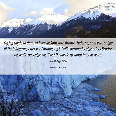 Picture 06 - Nehemias 5:8 DA1871 - Og jeg sagde til dem: Vi have løskøbt vore - Bible Verse Picture
