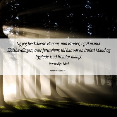 Picture 06 - Nehemias 7:2 DA1871 - Og jeg beskikkede Hanani, min Broder, og Hanania, - Bible Verse Picture