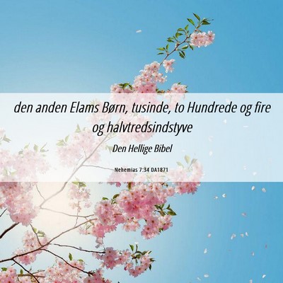 Picture 06 - Nehemias 7:34 DA1871 - den anden Elams Børn, tusinde, to Hundrede og - Bible Verse Picture