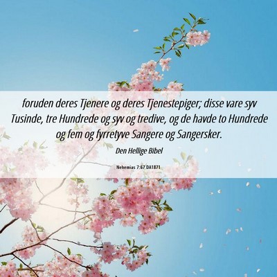 Picture 06 - Nehemias 7:67 DA1871 - foruden deres Tjenere og deres Tjenestepiger; - Bible Verse Picture