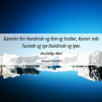 Picture 06 - Nehemias 7:69 DA1871 - Kameler fire Hundrede og fem og tredive, Asener - Bible Verse Picture