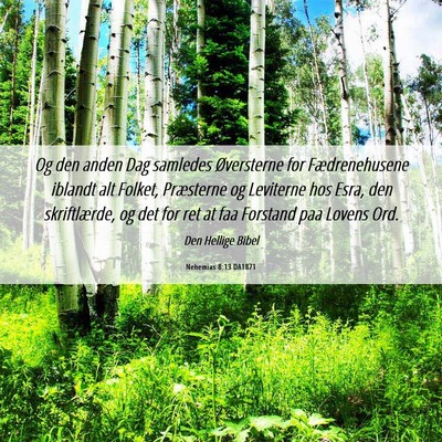 Picture 06 - Nehemias 8:13 DA1871 - Og den anden Dag samledes Øversterne for - Bible Verse Picture