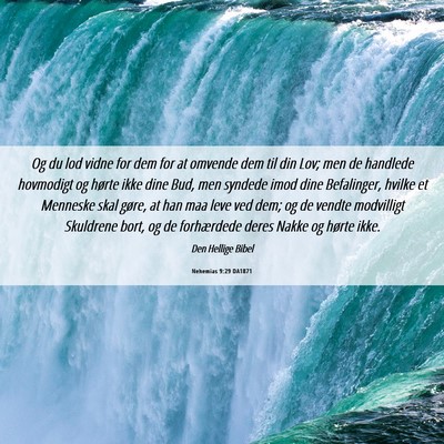 Picture 06 - Nehemias 9:29 DA1871 - Og du lod vidne for dem for at omvende dem til - Bible Verse Picture