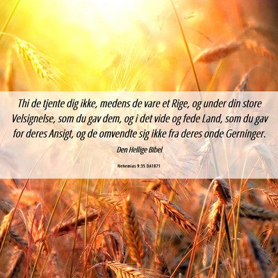 Picture 06 - Nehemias 9:35 DA1871 - Thi de tjente dig ikke, medens de vare et Rige, - Bible Verse Picture