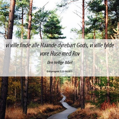 Picture 06 - Ordsprogene 1:13 DA1871 - vi ville finde alle Haande dyrebart Gods, vi - Bible Verse Picture