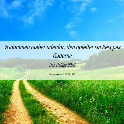 Picture 06 - Ordsprogene 1:20 DA1871 - Visdommen raaber udenfor, den opløfter sin Røst - Bible Verse Picture