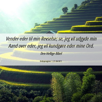 Picture 06 - Ordsprogene 1:23 DA1871 - Vender eder til min Revselse; se, jeg vil udgyde - Bible Verse Picture