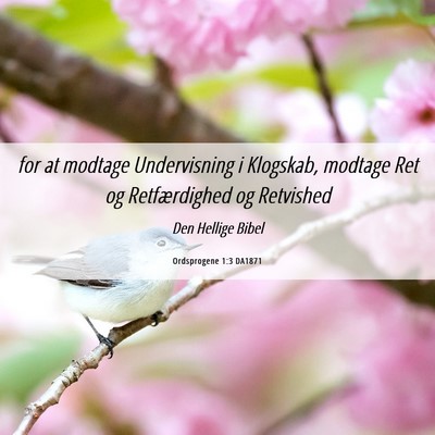 Picture 06 - Ordsprogene 1:3 DA1871 - for at modtage Undervisning i Klogskab, modtage - Bible Verse Picture