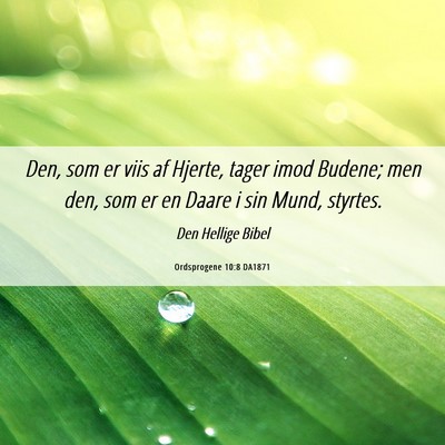 Picture 06 - Ordsprogene 10:8 DA1871 - Den, som er viis af Hjerte, tager imod Budene; - Bible Verse Picture