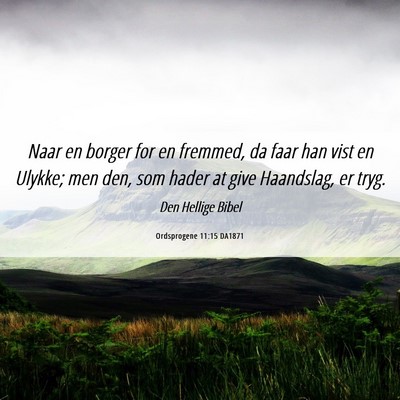 Picture 06 - Ordsprogene 11:15 DA1871 - Naar en borger for en fremmed, da faar han vist - Bible Verse Picture