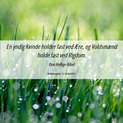 Picture 06 - Ordsprogene 11:16 DA1871 - En yndig Kvinde holder fast ved Ære, og - Bible Verse Picture