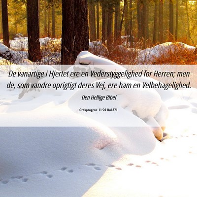 Picture 06 - Ordsprogene 11:20 DA1871 - De vanartige i Hjertet ere en Vederstyggelighed - Bible Verse Picture