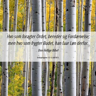 Picture 06 - Ordsprogene 13:13 DA1871 - Hvo som foragter Ordet, bereder sig Fordærvelse; - Bible Verse Picture