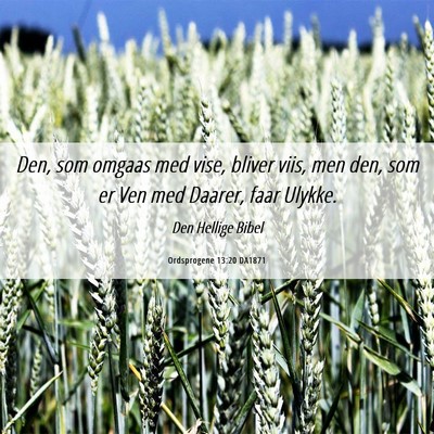 Picture 06 - Ordsprogene 13:20 DA1871 - Den, som omgaas med vise, bliver viis, men den, - Bible Verse Picture