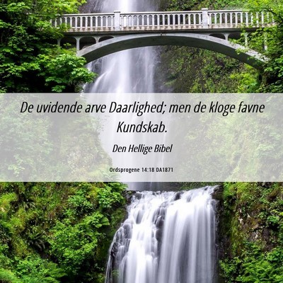 Picture 06 - Ordsprogene 14:18 DA1871 - De uvidende arve Daarlighed; men de kloge favne - Bible Verse Picture