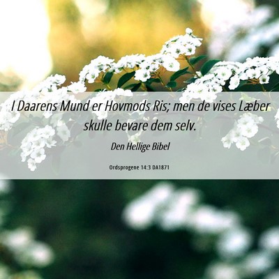 Picture 06 - Ordsprogene 14:3 DA1871 - I Daarens Mund er Hovmods Ris; men de vises - Bible Verse Picture
