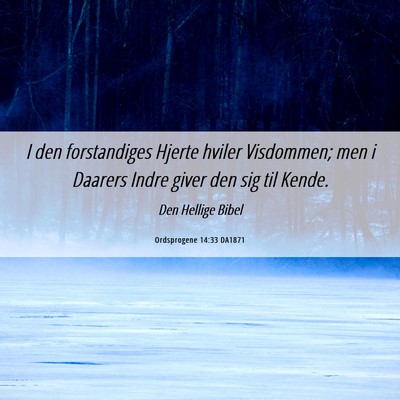 Picture 06 - Ordsprogene 14:33 DA1871 - I den forstandiges Hjerte hviler Visdommen; men i - Bible Verse Picture