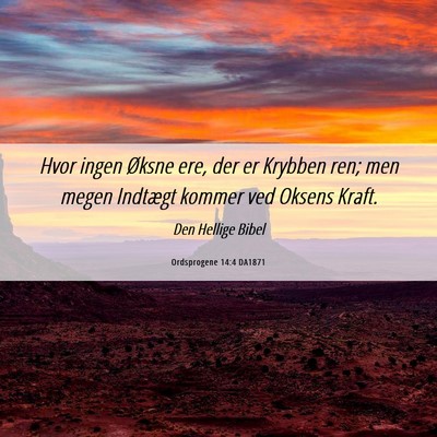 Picture 06 - Ordsprogene 14:4 DA1871 - Hvor ingen Øksne ere, der er Krybben ren; men - Bible Verse Picture