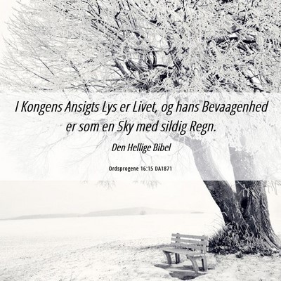 Picture 06 - Ordsprogene 16:15 DA1871 - I Kongens Ansigts Lys er Livet, og hans - Bible Verse Picture