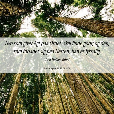 Picture 06 - Ordsprogene 16:20 DA1871 - Hvo som giver Agt paa Ordet, skal finde godt; og - Bible Verse Picture