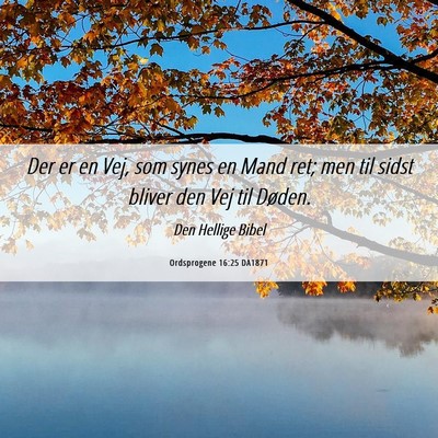 Picture 06 - Ordsprogene 16:25 DA1871 - Der er en Vej, som synes en Mand ret; men til - Bible Verse Picture