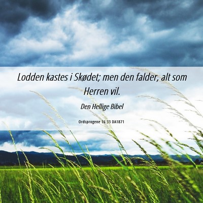 Picture 06 - Ordsprogene 16:33 DA1871 - Lodden kastes i Skødet; men den falder, alt som - Bible Verse Picture
