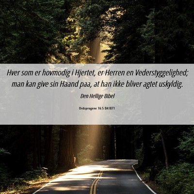 Picture 06 - Ordsprogene 16:5 DA1871 - Hver som er hovmodig i Hjertet, er Herren en - Bible Verse Picture