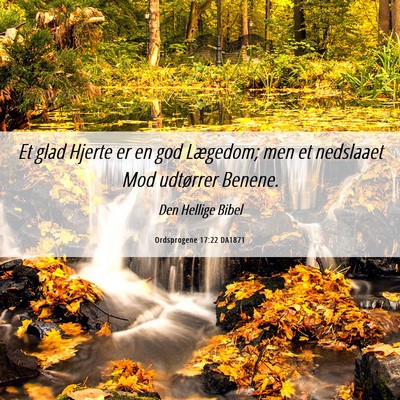 Picture 06 - Ordsprogene 17:22 DA1871 - Et glad Hjerte er en god Lægedom; men et - Bible Verse Picture