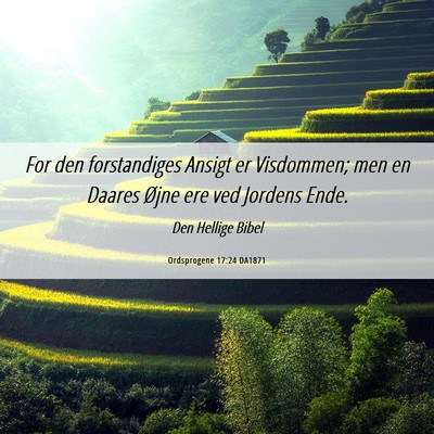 Picture 06 - Ordsprogene 17:24 DA1871 - For den forstandiges Ansigt er Visdommen; men en - Bible Verse Picture