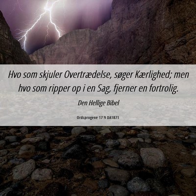 Picture 06 - Ordsprogene 17:9 DA1871 - Hvo som skjuler Overtrædelse, søger Kærlighed; - Bible Verse Picture
