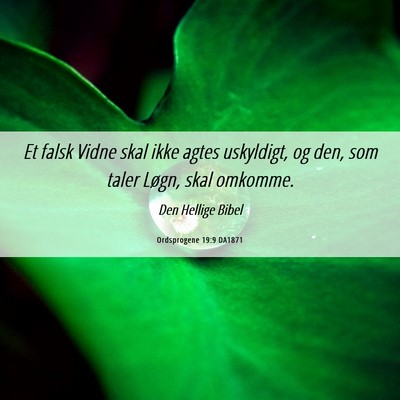 Picture 06 - Ordsprogene 19:9 DA1871 - Et falsk Vidne skal ikke agtes uskyldigt, og den, - Bible Verse Picture