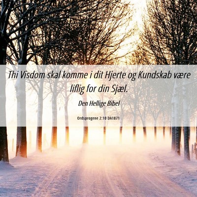 Picture 06 - Ordsprogene 2:10 DA1871 - Thi Visdom skal komme i dit Hjerte og Kundskab - Bible Verse Picture