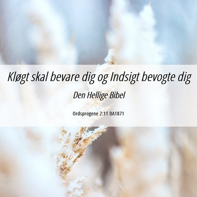 Picture 06 - Ordsprogene 2:11 DA1871 - Kløgt skal bevare dig og Indsigt bevogte - Bible Verse Picture